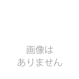 クリアーホルダー高透明　10パック(100枚)